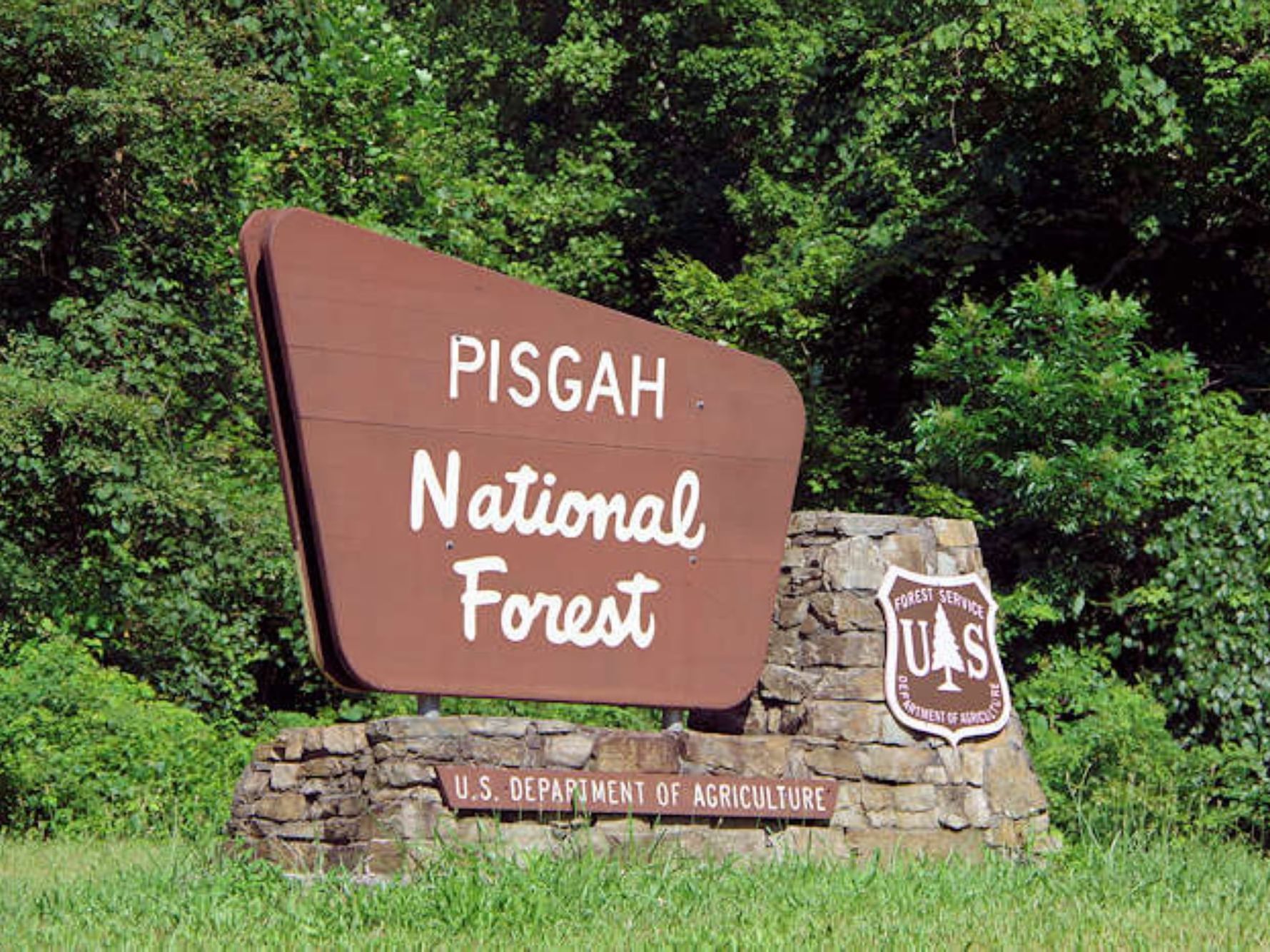 Pisgah National Forest board near Mountain Inn & Suites