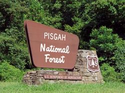 Pisgah National Forest board near Mountain Inn & Suites