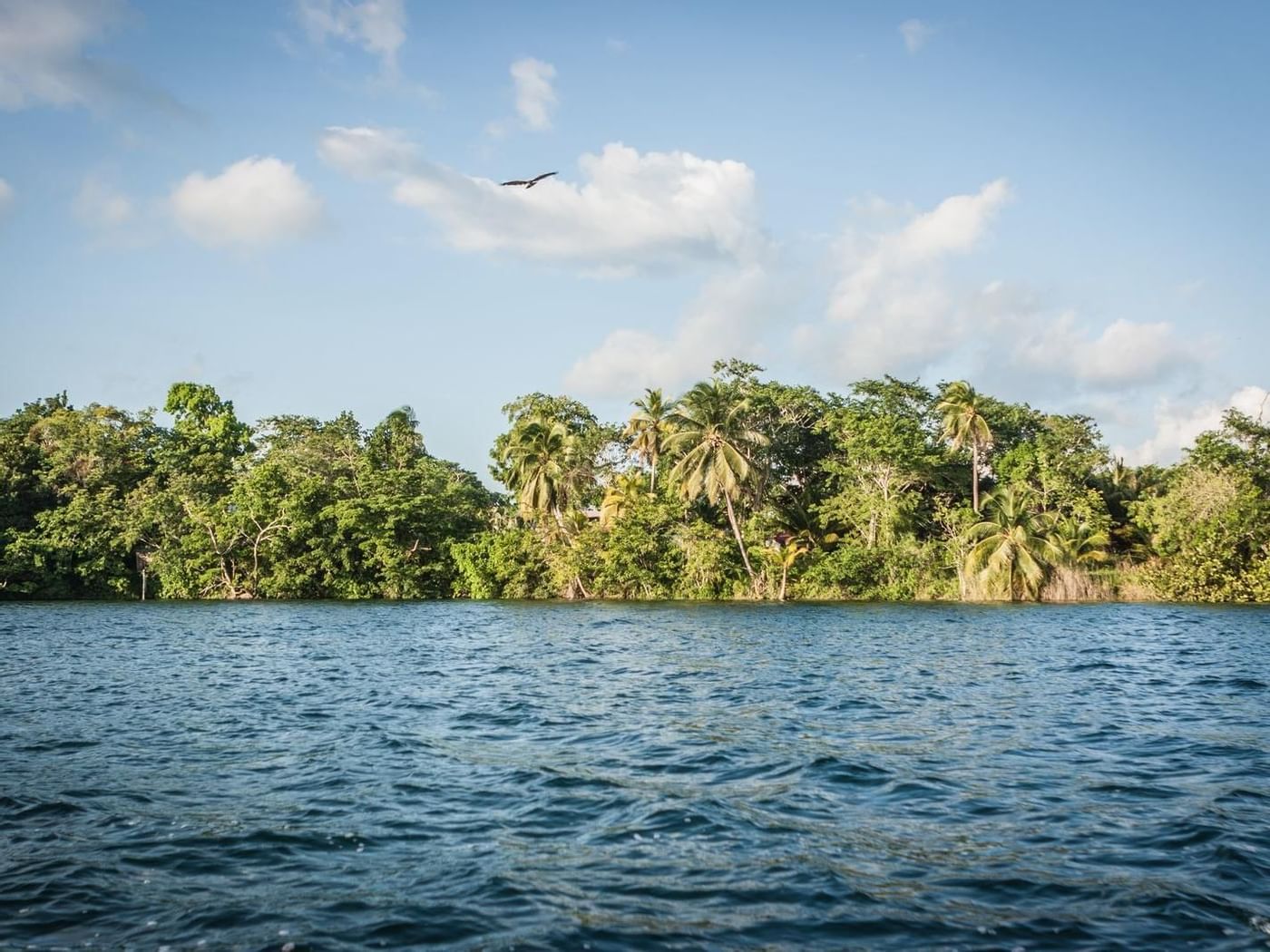 View of the Chakambakam Lagoon near The Explorean Kohunlich