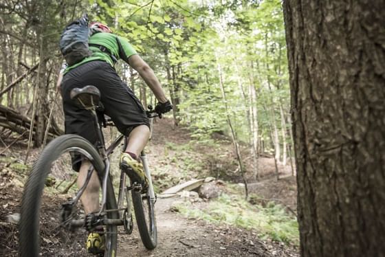 A man cycling in the mountains near Topnotch Stowe Resort