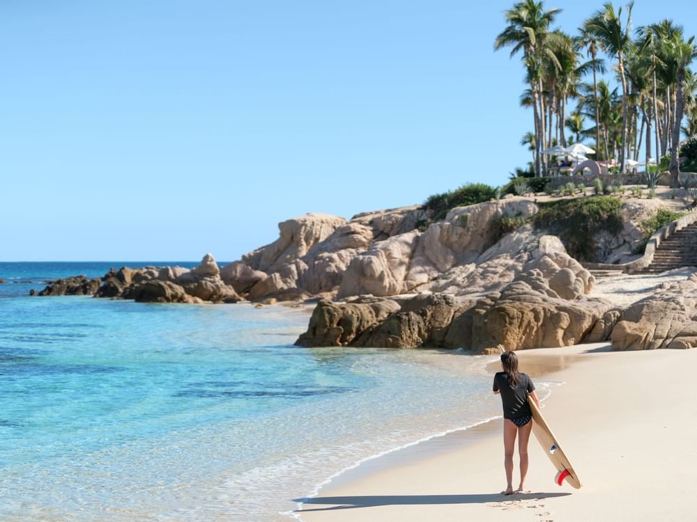 Cabo Adventures near the La Colección Resorts