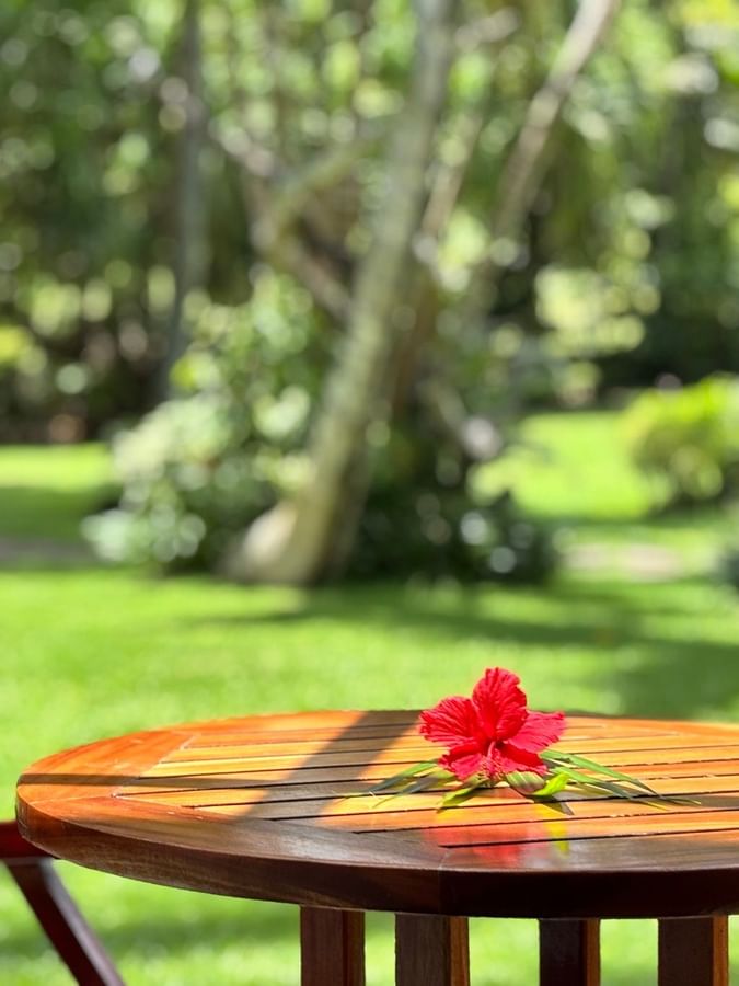 Wooden table and chair with red flower on table set in a garden at Warwick Fiji Resort and Spa Korolevu.