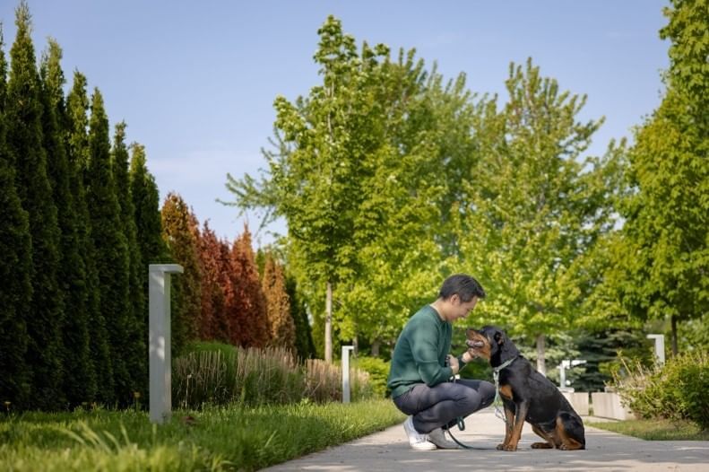 Une personne accroupie pour caresser un chien noir sur un sentier de parc ensoleillé près de l'hôtel X Toronto