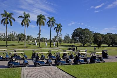 golf carts lined up on path