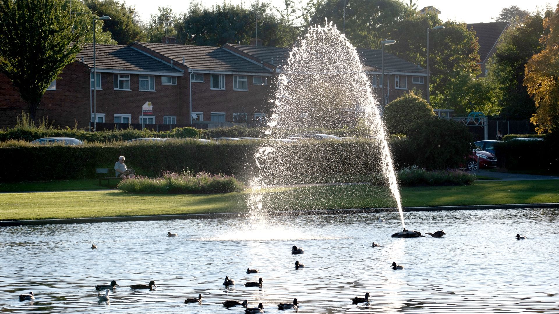 Fountain in the lake in Eastrop near Village Hotels	Basingstoke