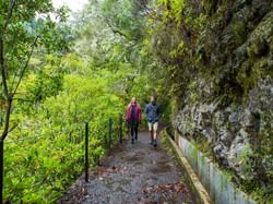 Levada Queimadas - Caldeirão Verde