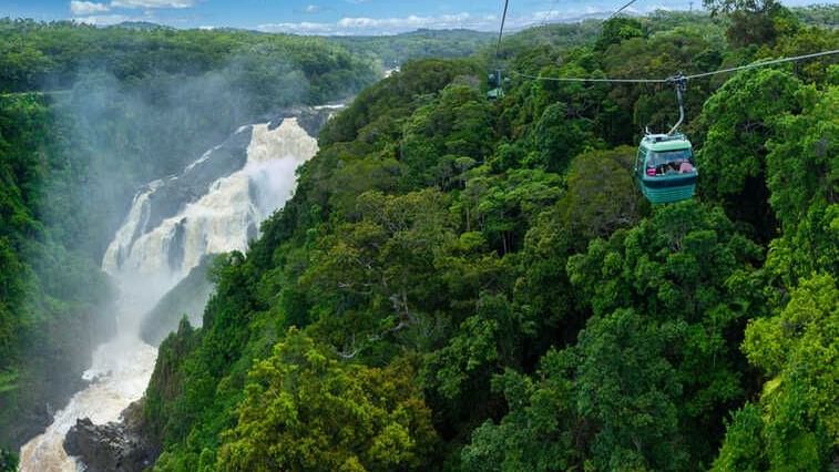 Cable Car passing over rainforest near Pullman Palm Cove Resort