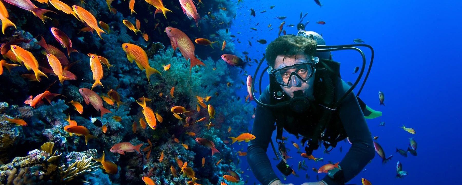 Scuba diver swimming along a coral reef wall surrounded by a school of orange fish near Infinity Bay Spa & Beach Resort