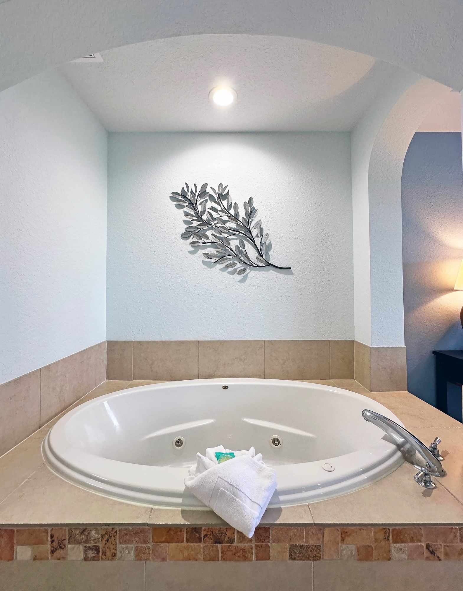 Jetted Tub in Master Bedroom