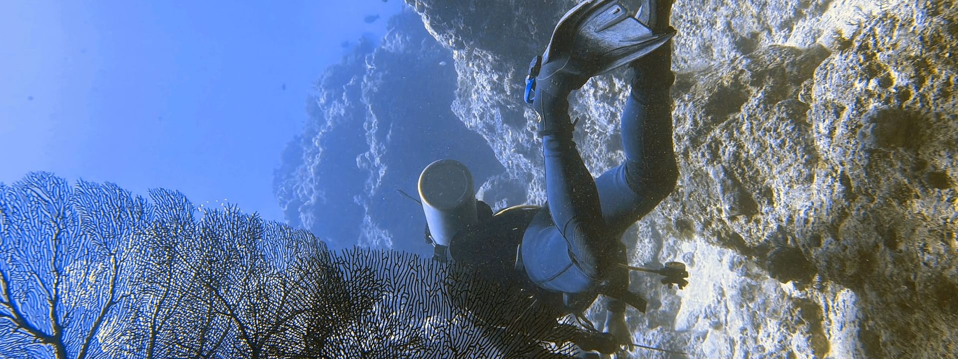Diver exploring underwater reef and coral at Warwick Fiji Resort and Spa in Korolevu