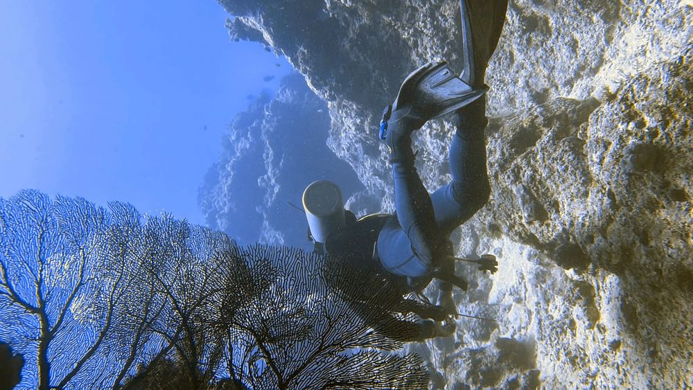 Diver exploring underwater reef and coral at Warwick Fiji Resort and Spa in Korolevu