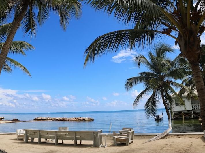 Scenic beach with palm trees near Oceanfront Reef House 3 Bedroom Suite at Alaia Belize Autograph Collection
