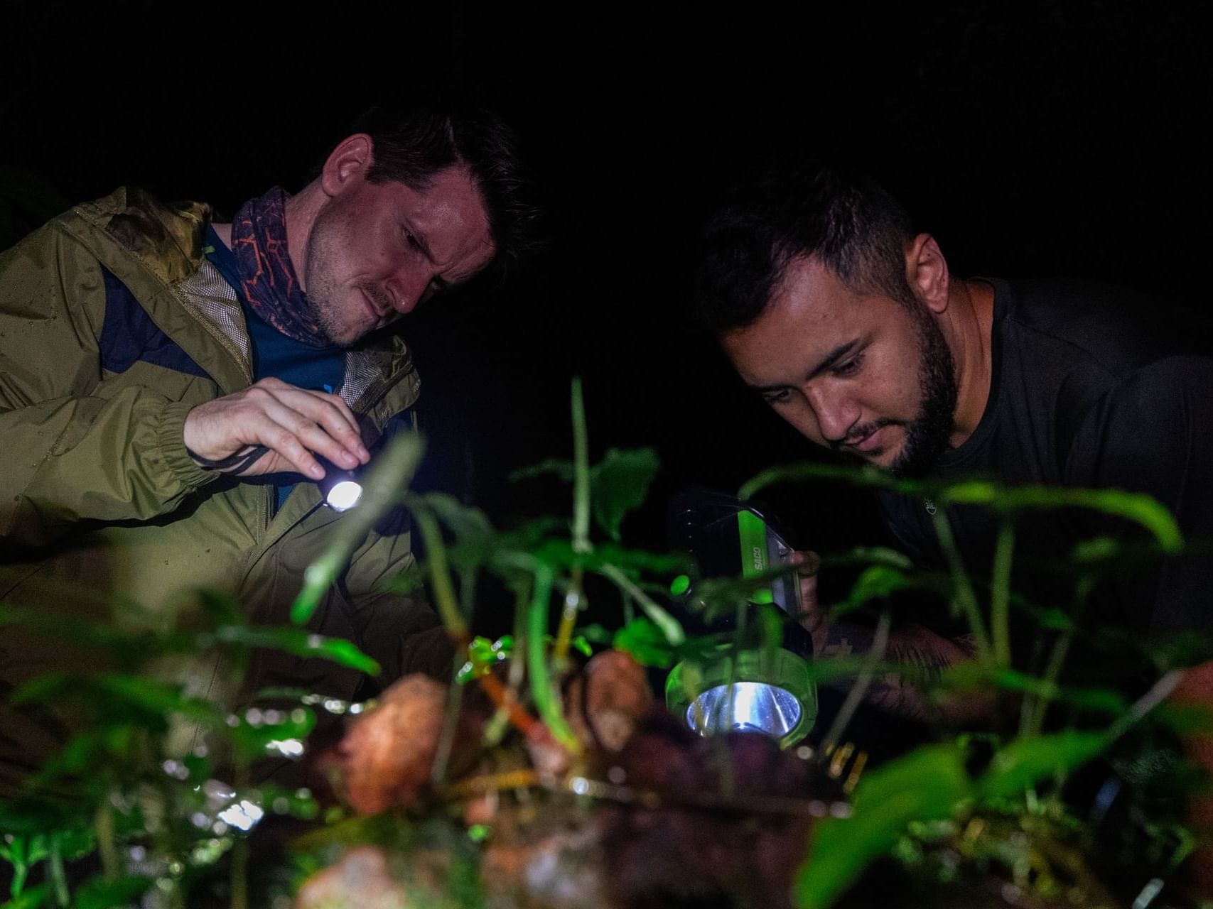 Deux personnes qui observent des plantes vertes et le sol mousseux avec un éclairage doux à El Silencio Lodge and Spa