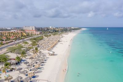 Aerial view of the coastline near Amsterdam Manor Resort