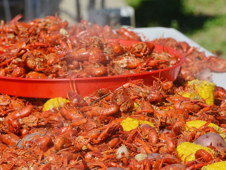 Astros Crawfish Boil: October 4th, 2022 - The Crawfish Boxes