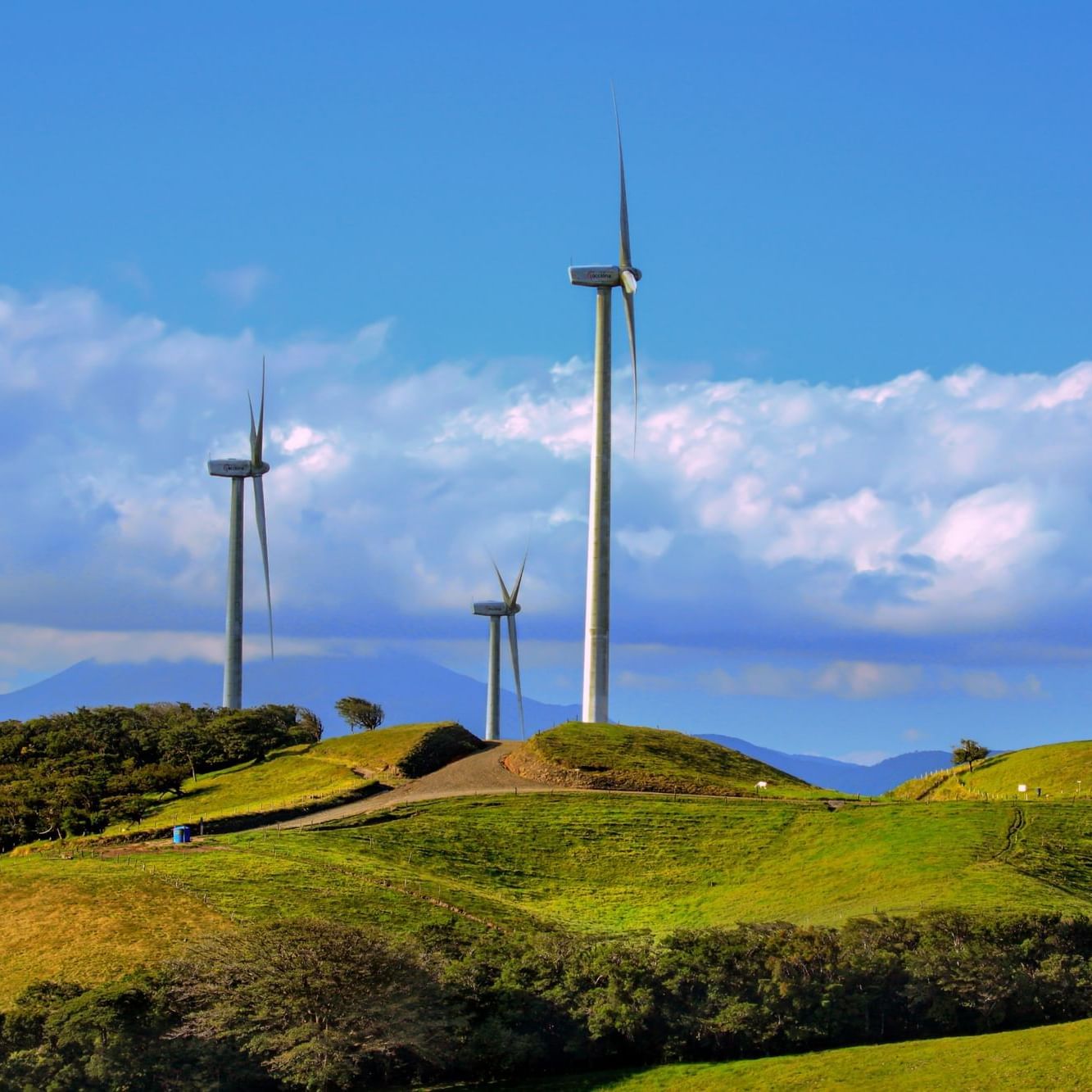 Landscape view of wind turbines near Buena Vista Del Rincon