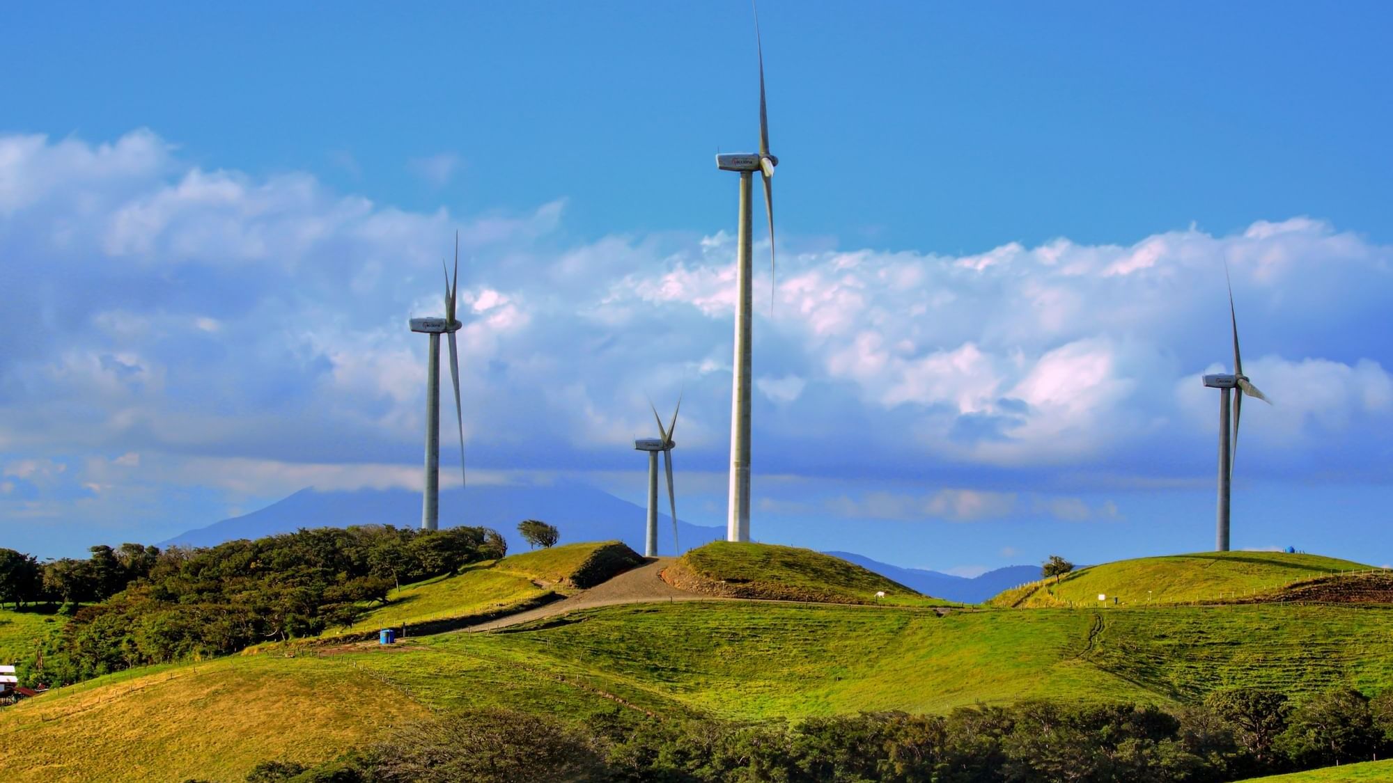 Landscape view of wind turbines near Buena Vista Del Rincon