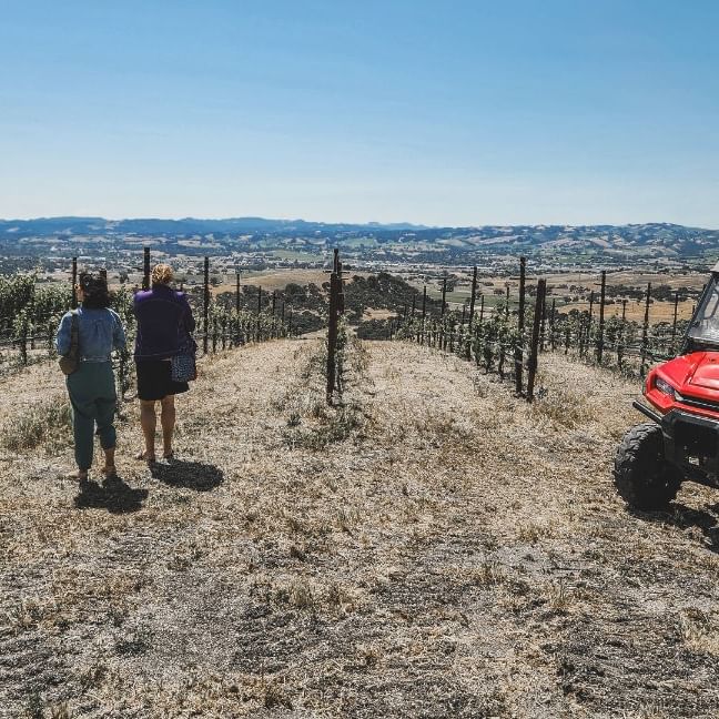 Toast Tours Paso Robles wine tour in vineyards