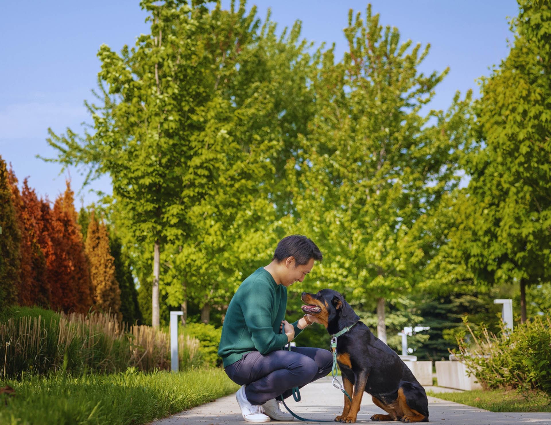 Man crouching beside his dog along a paved park walkway surrounded by tall green trees outdoors near Hotel X Toronto