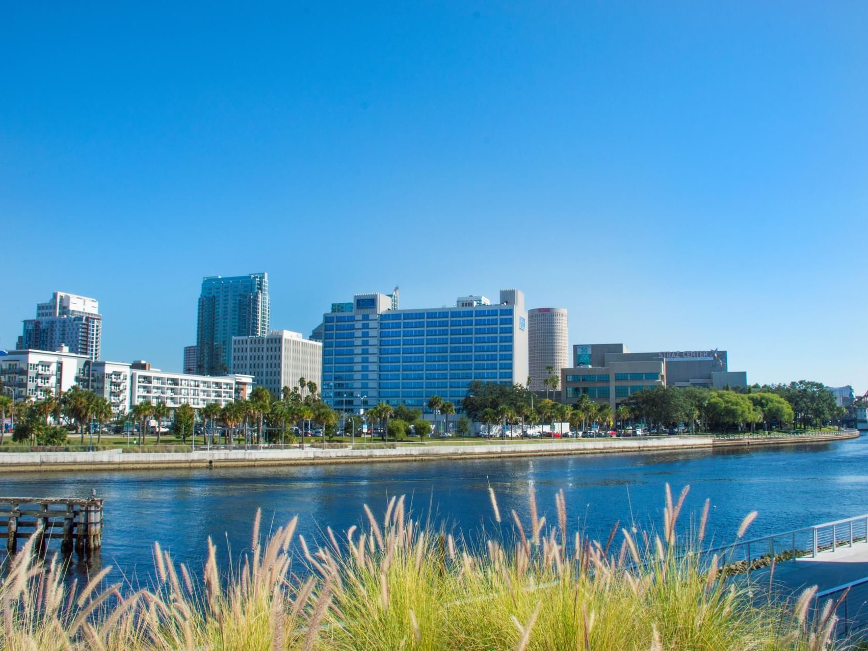 Distance view of the city skyline & The Barrymore Hotel Tampa Riverwalk
