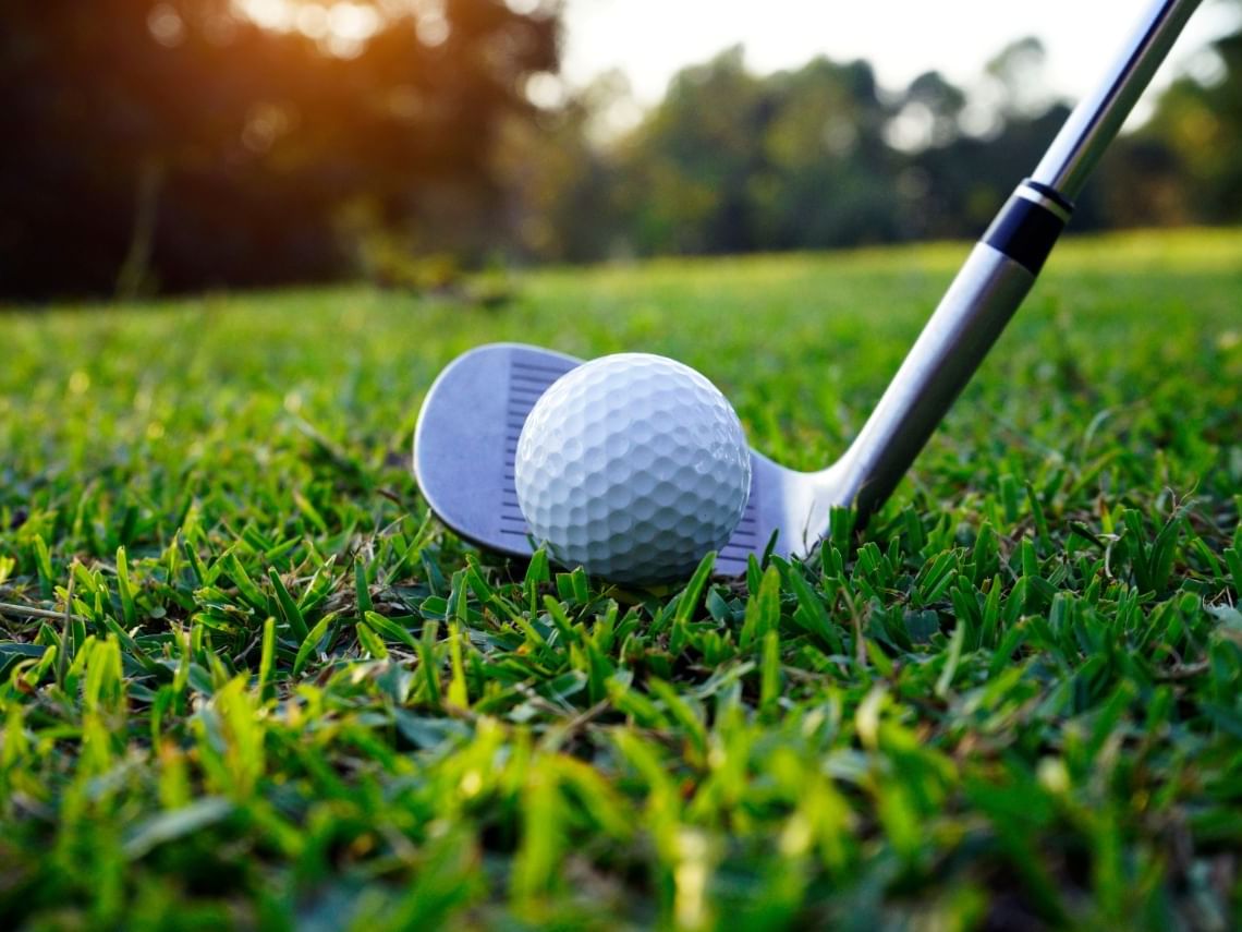 Close-up of a golf ball being lined up with a club for a powerful swing