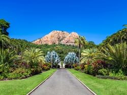 Pathway in Queens Garden near Hotel Grand Chancellor Townsville
