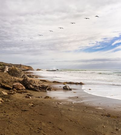 Beachfront Cambria Hotel Gallery - Sea Otter Inn