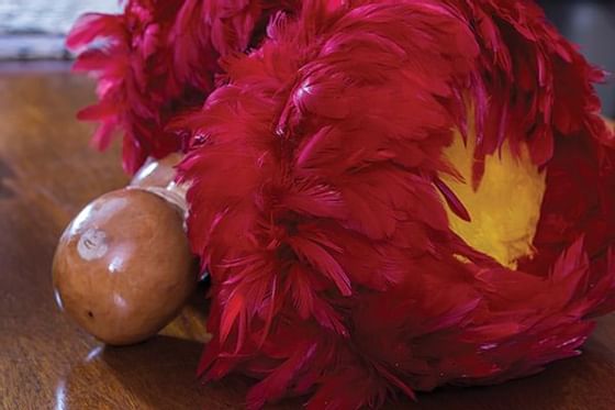 Close-up of a feather hat at Ka'anapali Beach Hotel Hawaii