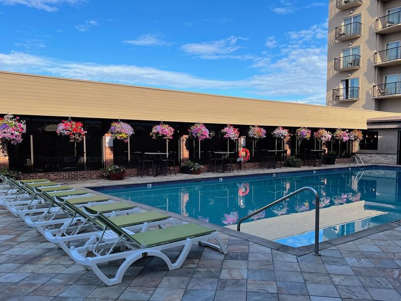 Swimming pool with flower assortments