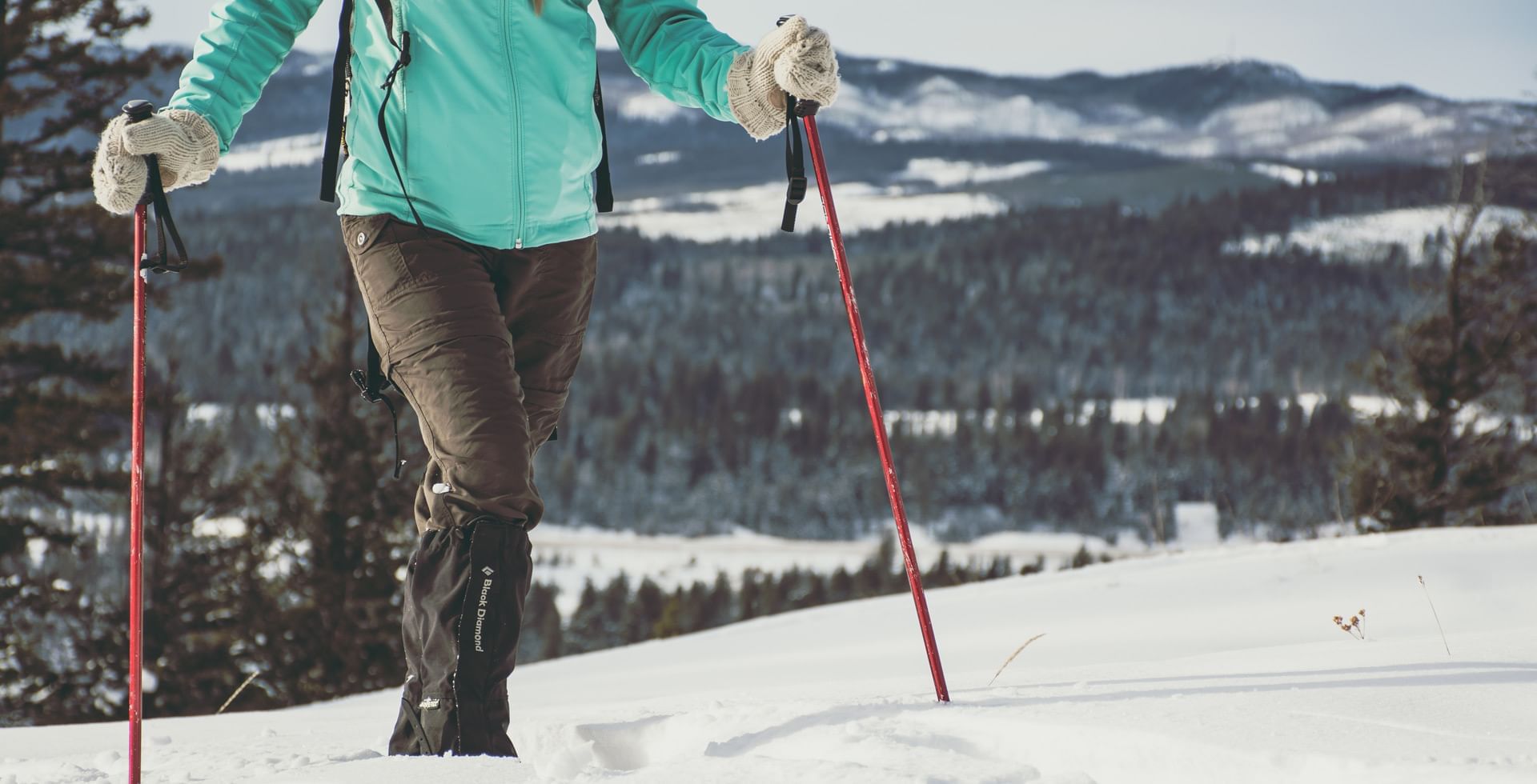 A person standing in the snow with hiking poles