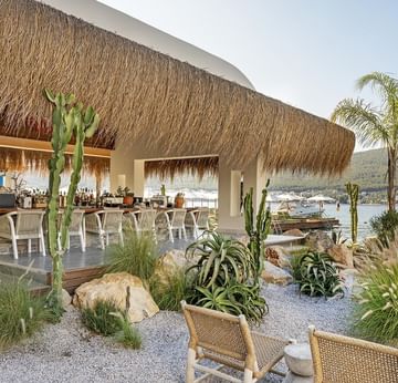 Yamas Bistro — пляжные пейзажи, пальмы и вид на горы в Titanic Luxury Collection Bodrum