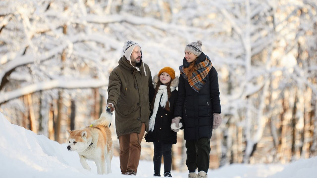 Family of three with dog walking together through snowy forest.