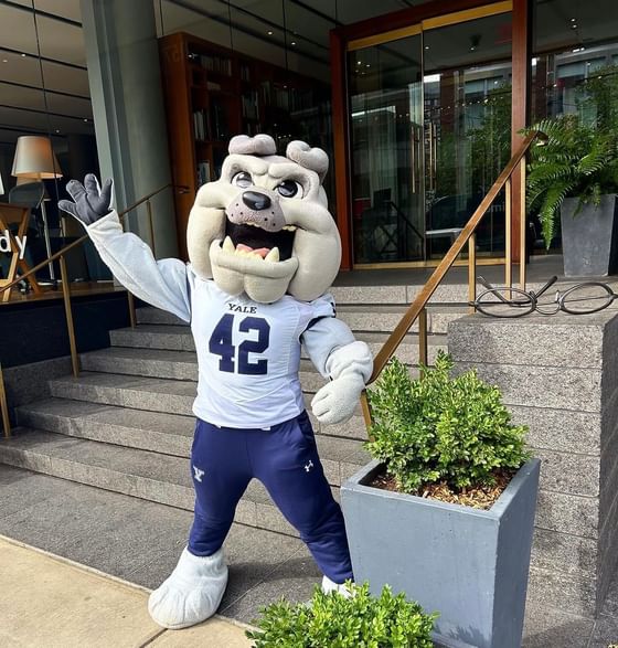 Mascot in Yale football jersey standing on steps at The Study at Yale