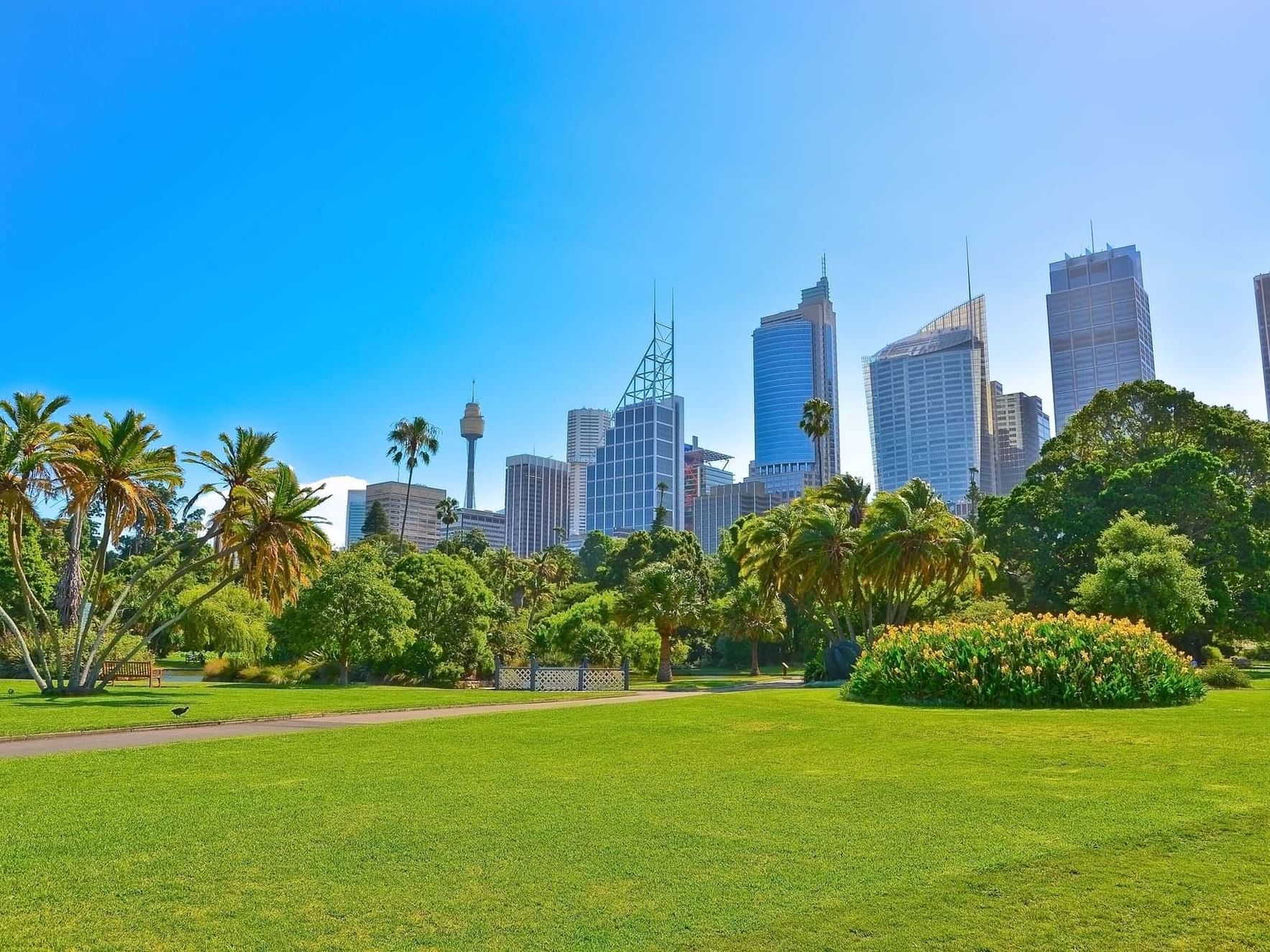 Royal Botanical Gardens at Sydney near Amora Hotel
