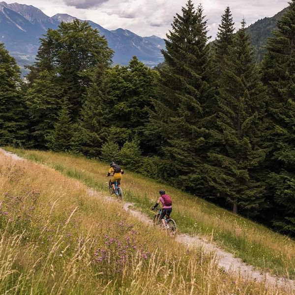 Zwei Radfahrer fahren auf einem Waldweg durch eine grüne, blumenreiche Landschaft mit Bergpanorama.