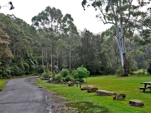 Lane Cove National Park at the Sebel Residence Chatswood