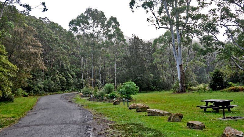 Lane Cove National Park at the Sebel Residence Chatswood