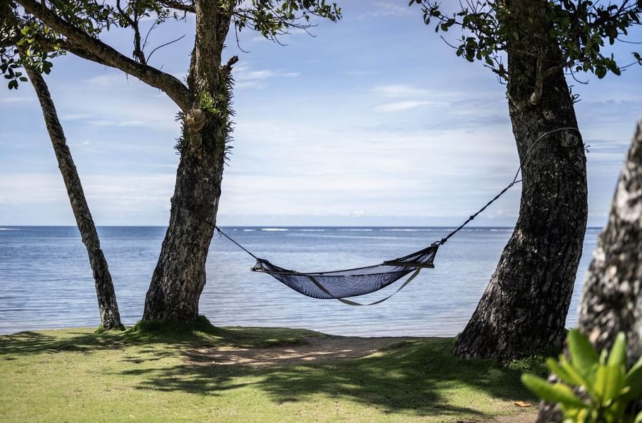 Net hammock by thick trees under a clear sky near the calm blue ocean at The Naviti Resort - Fiji