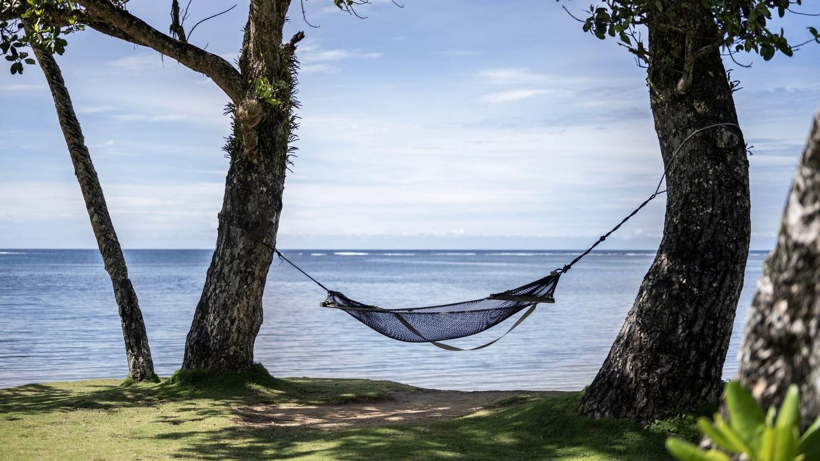 Mesh hammock tied between two trees by the calm ocean under a clear sky near Warwick Hotels & Resort