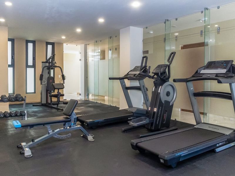 Treadmills, foldable workout bench & dumbbell rack in a gym at Gamma Los Cabos