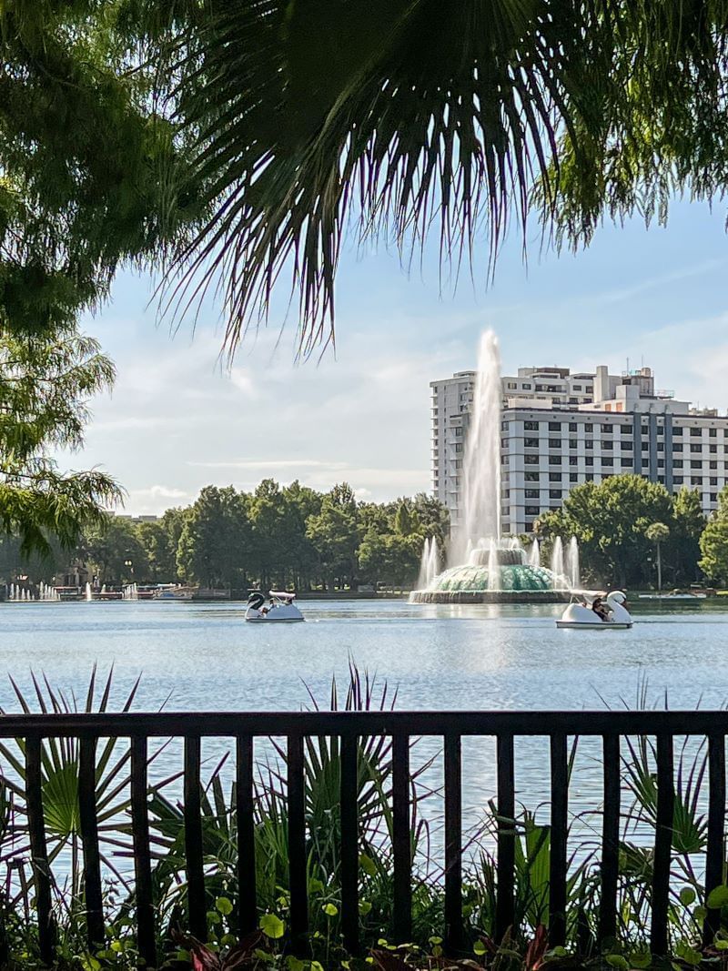 Through palm fronds and a dark fence, a blue Lake Eola features a tall white fountain and several white swan paddle boats, with a white building visible in the background. 