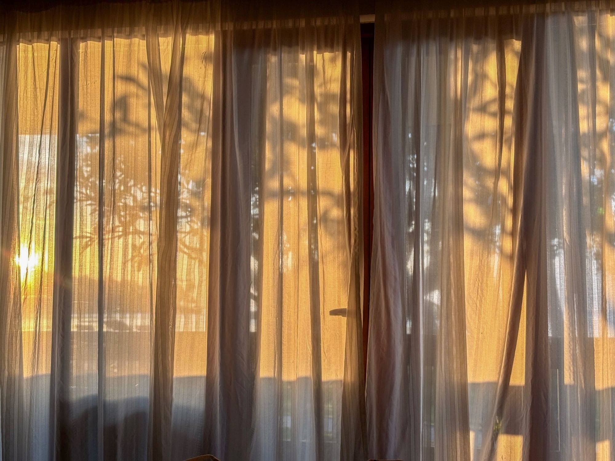 Sunlight casting shadows of trees on white curtains at Warwick Corporate