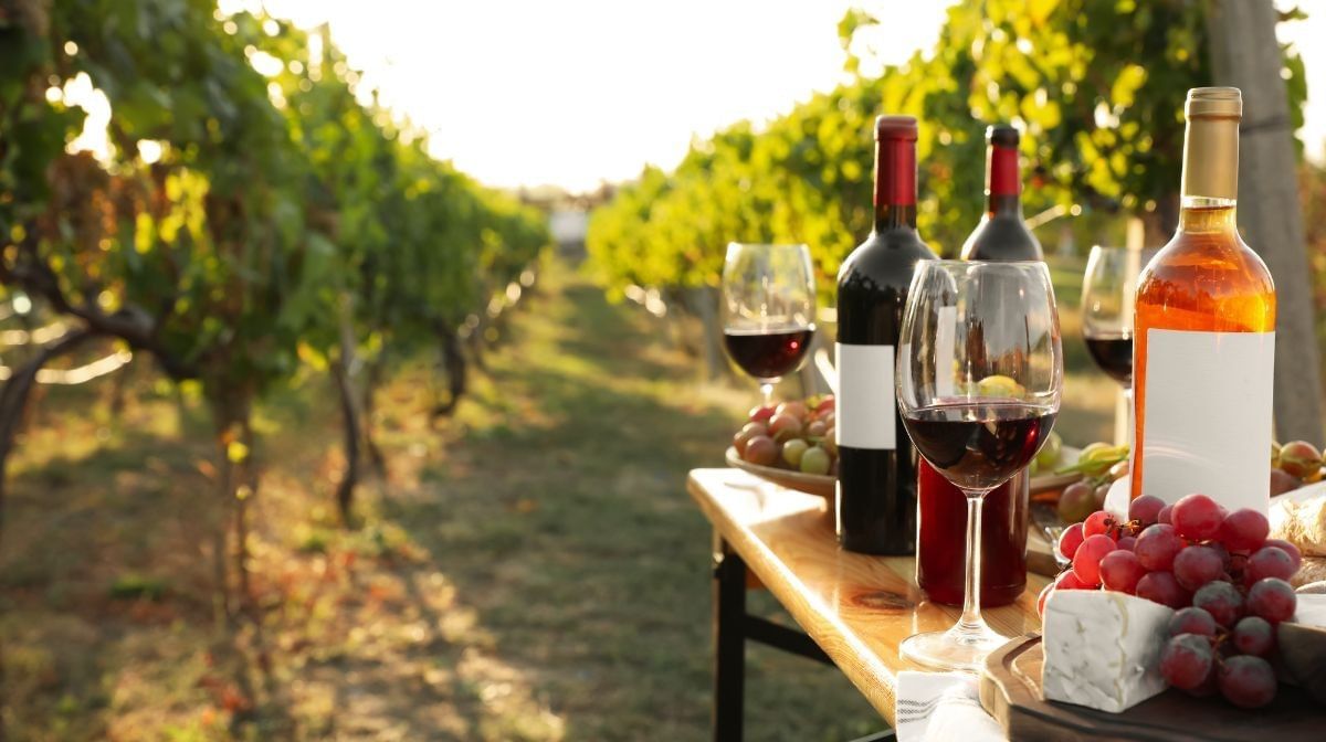 Wine bottles and glasses on a wooden table in a vineyard at golden hour near Camino Real Pedregal Mexico