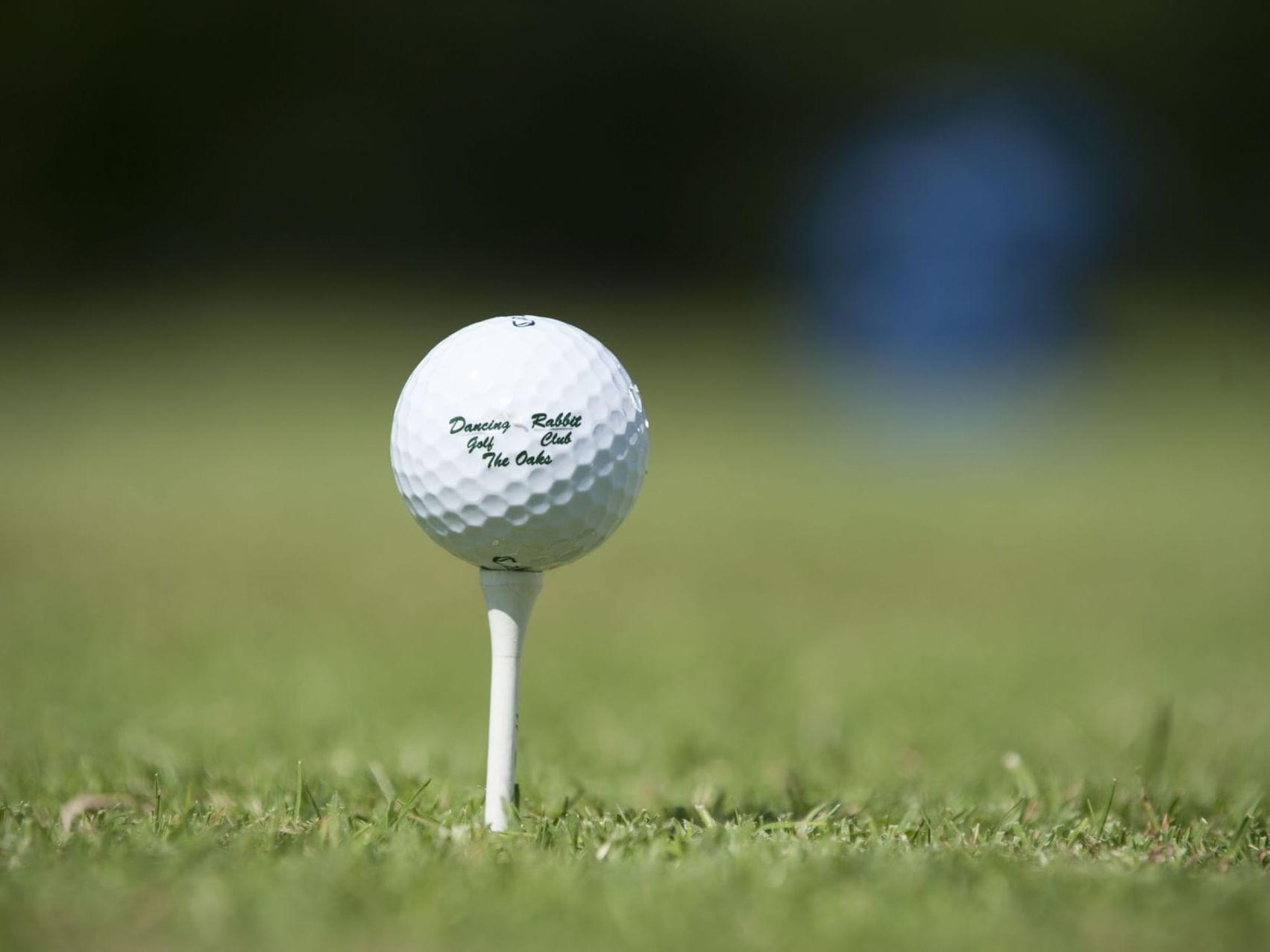 Close-up of a golf ball on the golf course in Dancing Rabbit Golf Club at Pearl River Resorts