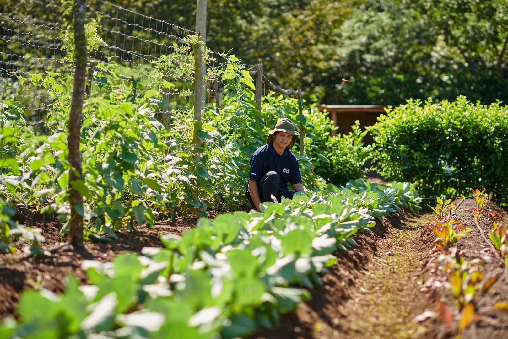 Sustainable garden showing a local farmer tending to organic vegetable rows at Cala Luna Boutique Hotel