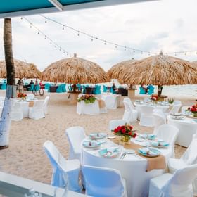 Visual Feast: Gallery of Passions on the Beach, Aruba