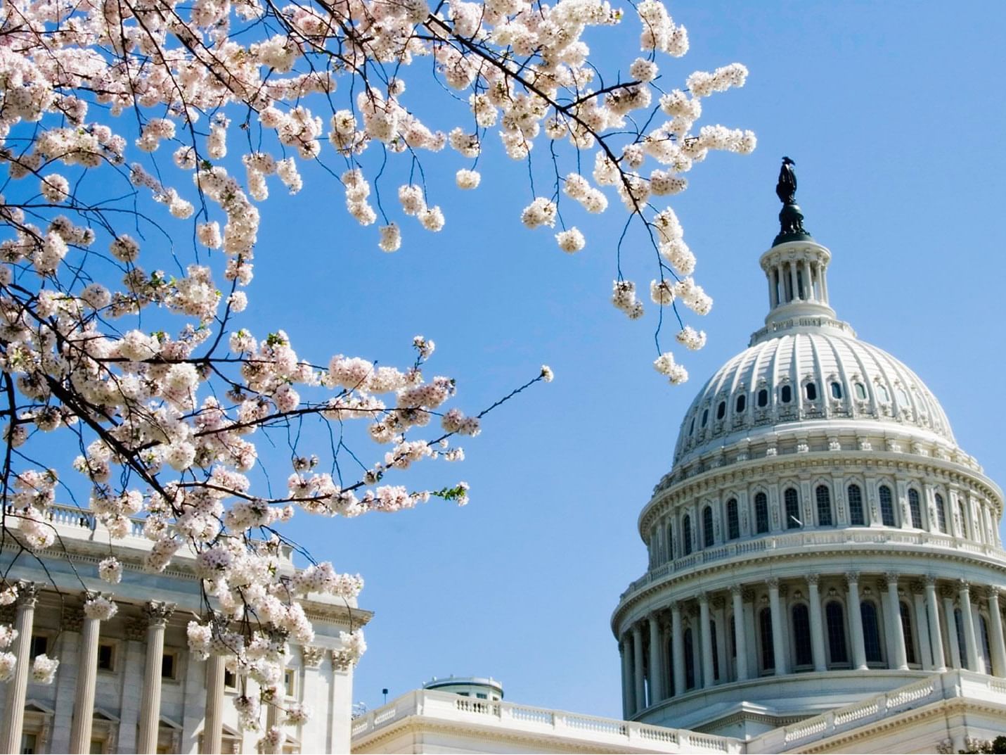 View of the Capitol Hill near Kellogg Conference Center