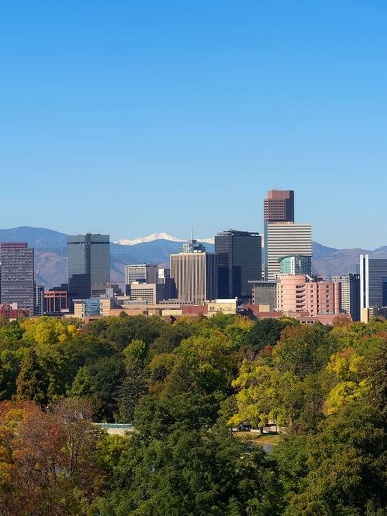Denver City skyline with tall buildings by a lush forest, under a clear blue sky near Warwick Hotels & Resort