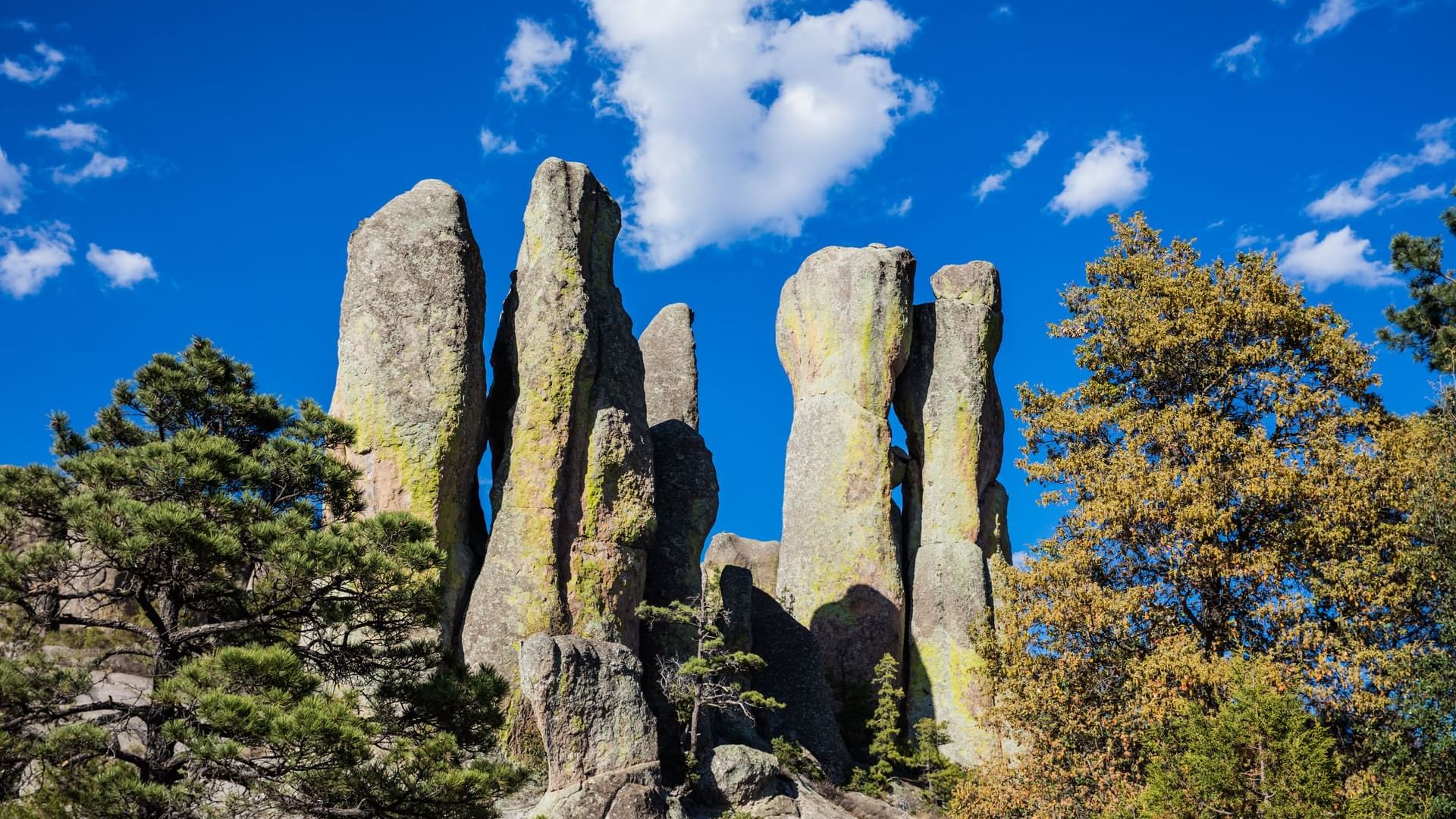 Landscape of Stone pillars near at One Chihuahua Fashion Mall
