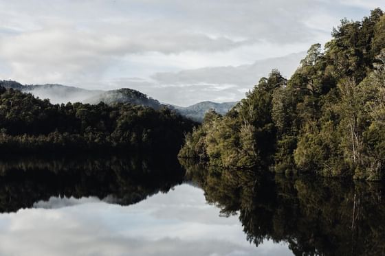 Landscape View of the Gordon River near Gordon River Cruise